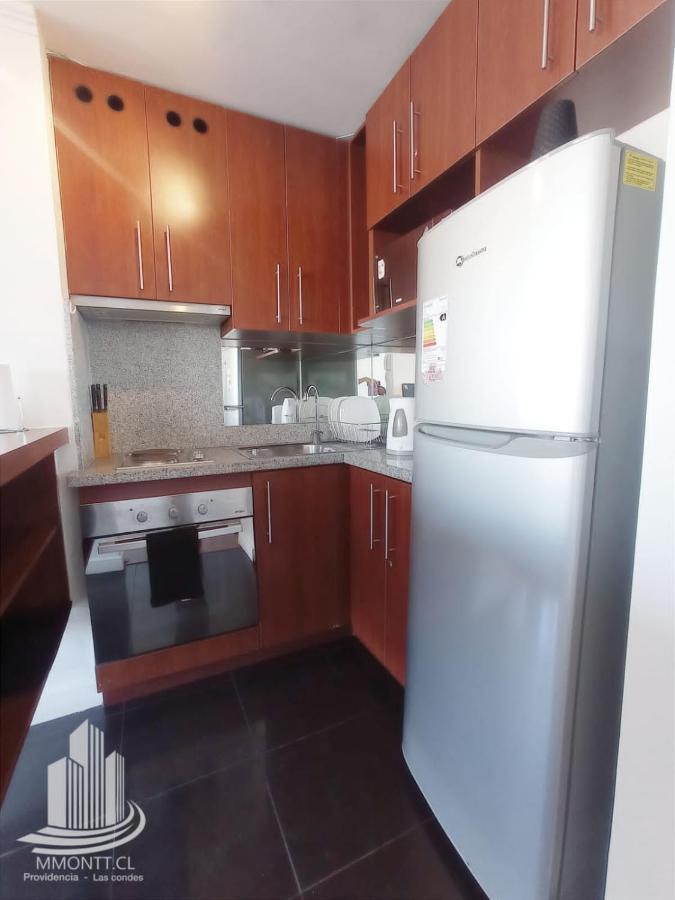 M-Montt Providencia Apartamentos Amoblados Σαντιάγκο Εξωτερικό φωτογραφία